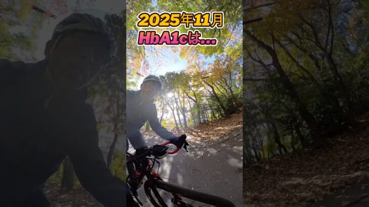 2025年11月のHbA1c #1型糖尿病 #ヘモグロビンa1c #hba1c #ロードバイク #ヒルクライム #激坂