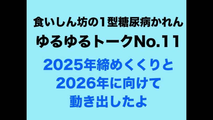 【１型糖尿病】ゆるゆるトーク＃１１～2025年締めくくりと2026年に向けて動き出したよ～