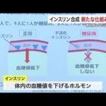 東北大学が「インスリン」合成する新メカニズムを発見　糖尿病やアルツハイマーなどの治療に期待〈仙台市〉 (25/11/12 18:22)