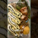 #25/11/12/5:00#糖尿病弁当#お弁当#パパ#鶏むね肉とシシトウ炒め弁当#shorts