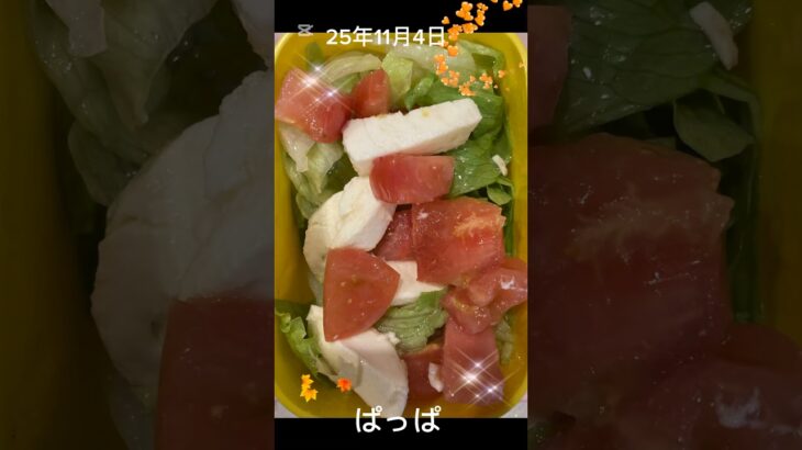 #25/11/4/5:30#糖尿病弁当#お弁当#パパ#ブリの照り焼きのり弁ささみチーズカツいい忘れた#shorts