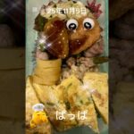 #25/11/5/3:00#糖尿病弁当#お弁当#パパ#タン塩とアスパラの肉巻き弁当#shorts