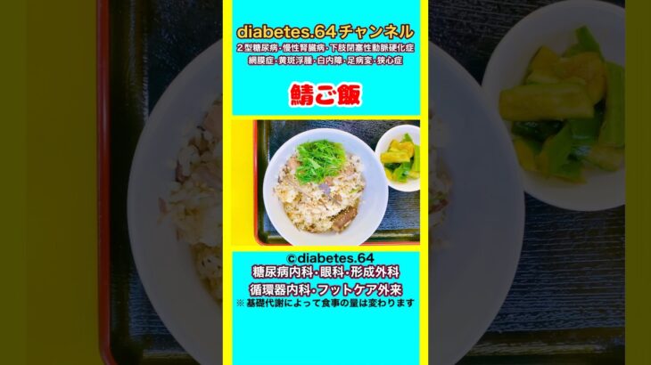 【鯖ご飯】 #2型糖尿病#CKD#ASO#狭心症#食事療法#自炊記録#提出用画像
