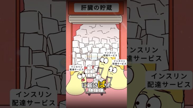 🍦なぜ糖尿病になるのか❓#2danimation#webtoon#funny#didyouknow#shorts