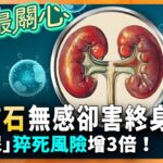 這激素是「糖尿病、腎臟病」救星！江守山示警：「夜尿」恐害猝死風險增3倍！喝錯「綠拿鐵」恐釀腎結石、腎衰竭→害終生洗腎！點名「5大蔬菜」腎病患者要適量→ 草酸含量高！｜祝你健康