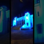 世界糖尿病デー吉田城その4