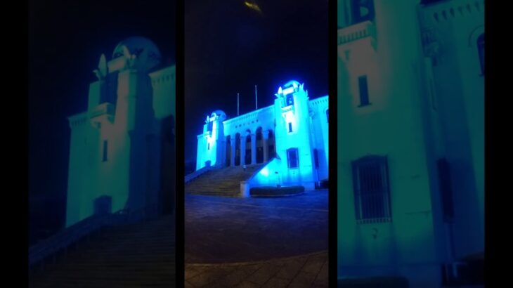 世界糖尿病デー吉田城その4