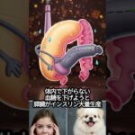 なぜ糖尿病に!二度と戻れない恐怖の発症メカニズム 5ステップ #習慣,#雑学,#自己成長,#健康