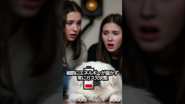 【保存必須】絶対見逃すな！糖尿病が忍び寄る初期サイン5選#習慣,#雑学,#自己成長,#健康