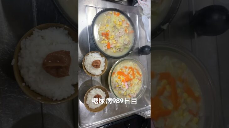 煮込みちゃんぽん食べた 糖尿病全食事記録989日目