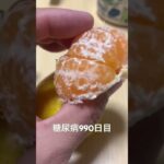 みかん食べた 糖尿病全食事記録990日目