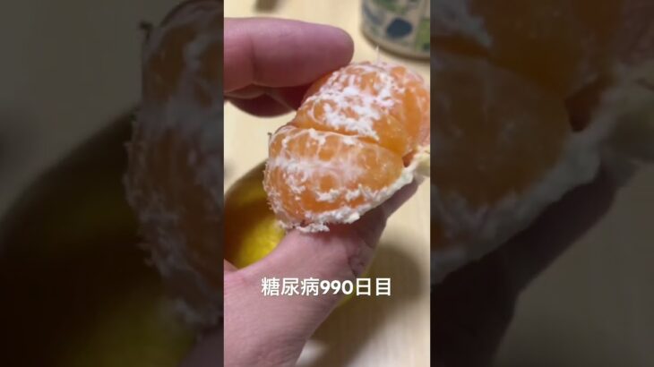みかん食べた 糖尿病全食事記録990日目