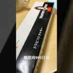 北海道トラピストのクッキーとチーズタルト食べた 糖尿病全食事記録991日目