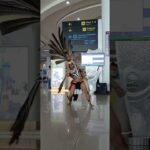 Burung Enggang dance  #nft #nftclub #nftart #nfts #shortvideo #viralvideo  #viralshorts