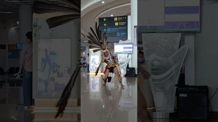 Burung Enggang dance  #nft #nftclub #nftart #nfts #shortvideo #viralvideo  #viralshorts