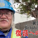 【#糖尿病 #闘病記】DAY558 ちょっと物足りない現場【#散歩】2025年11月18日の記録