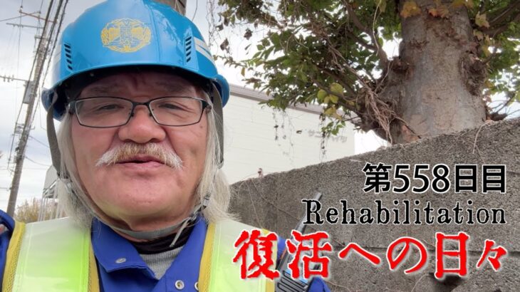 【#糖尿病 #闘病記】DAY558 ちょっと物足りない現場【#散歩】2025年11月18日の記録