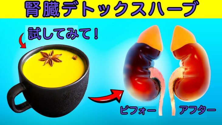糖尿病性腎臓病（DKD）の進行を抑える！ 炎症・酸化ストレスに効く「伝統ハーブ」8選の驚異的な力