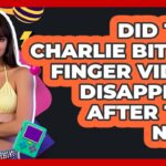 Did The Charlie Bit My Finger Video Disappear After The NFT? – I’m a 2000s Baby