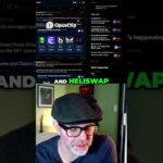 Hedera NFT Boom  DappRadar’s Top Dapps & SaucerSwap Secret! #hbar #hedera