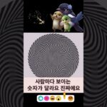 K STADIUM 보이는것 #ksta #포가디언 #음악 #ksta #kstadium #nft #비트코인 #music #트로트 #디코