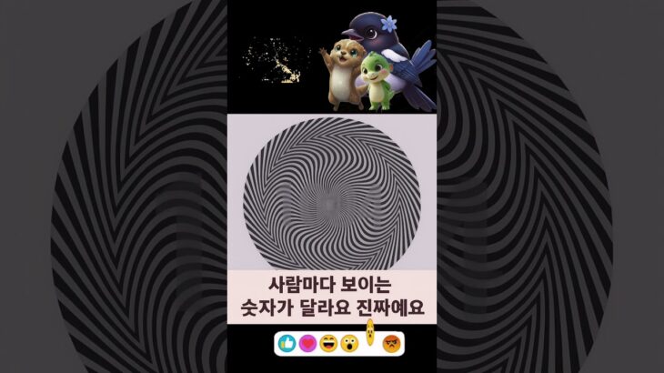 K STADIUM 보이는것 #ksta #포가디언 #음악 #ksta #kstadium #nft #비트코인 #music #트로트 #디코