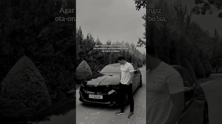 Kanalimda 2025-yilda “NFT/Kriptoda 0dan 10.000$ga 3 oyda chiqish” bo’yicha video qo’llanma bor✅