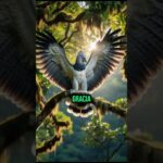 La Arpía: 🐉 El NFT💎​ Más Feroz