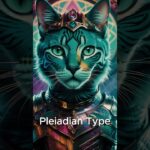 Lets GOOO🚀🚀 #nft #cryptoassets #helpmemakethismakesense #midjourney  #cryptocollectibles