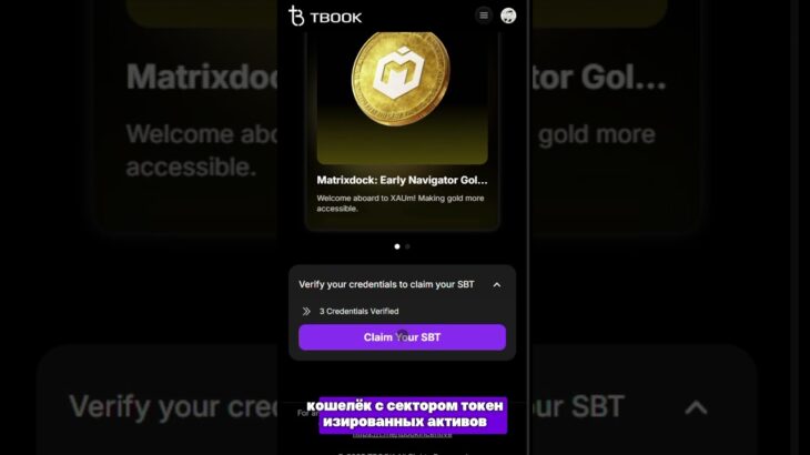 🚨 ЗОЛОТОЙ КЛЮЧ! MatrixDock x TBook: NFT от RWA-гиганта!