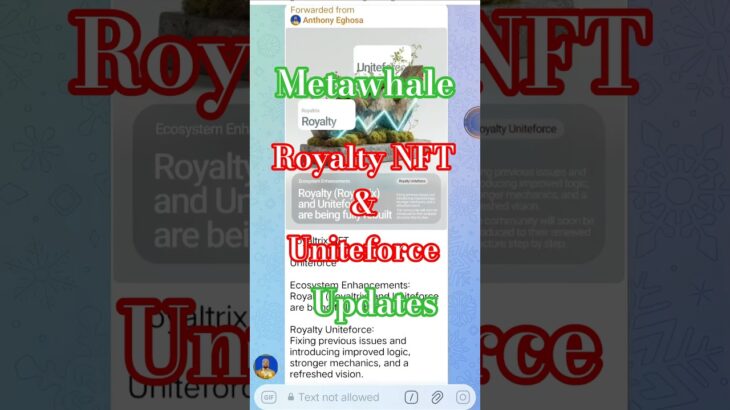 Metawhale Royalty NFT & Uniteverse updates #metawhale #nft #uniteverse