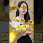 NFT는 정말 끝난걸까?