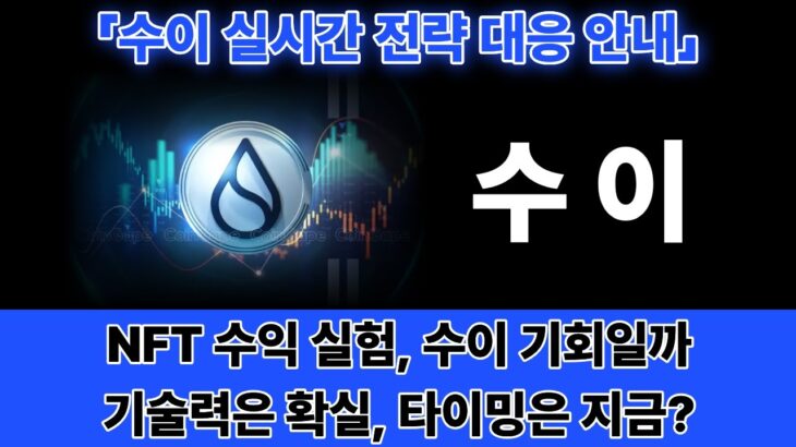 [수이] 실사용 기반 NFT가 시작된다… 수이의 다음 무브는? -세력의 손