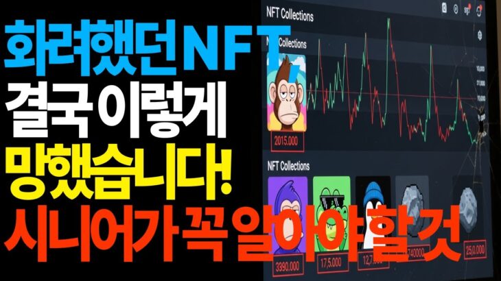 화려했던 NFT 결국 이렇게 망했습니다! 시니어가 꼭 알아야 할 것