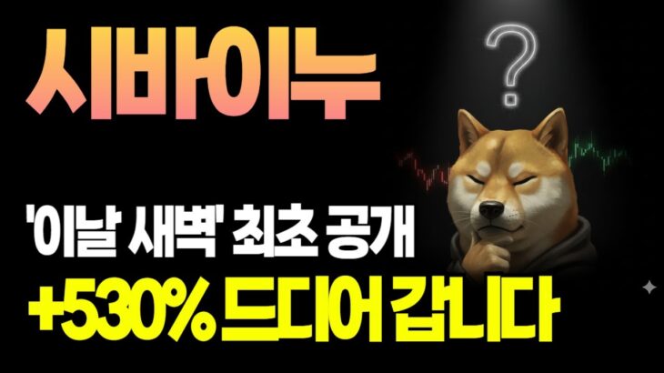 시바이누 코인💰 ‘이날 새벽’ NFT 프로젝트 로드맵 최종 공개 예정🚨 밈코인 대장주 +530% 폭등 직전! 무조건 확인하세요!