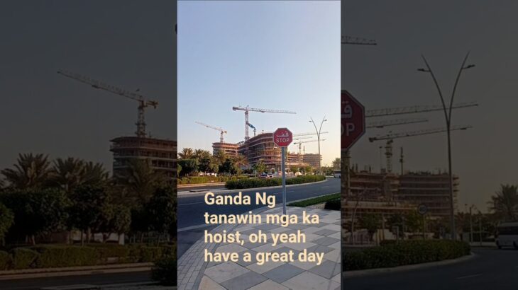 NFT CRANE… LIFTING YOU HIGHER | ZUBLIN ..NEW site mga ka hoist