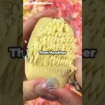 NFT Ghost😱#reddit #shorts