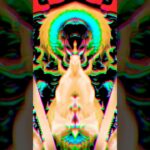 NFT META CARD DIGITAL ART TOKEN BLOCKCHAIN @NFT @Block-Chain-World @snoopdogg