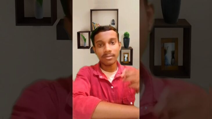 NFT Monkey Dropped !