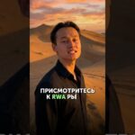 🧩NFT-папахи или RWA-недвижимость?