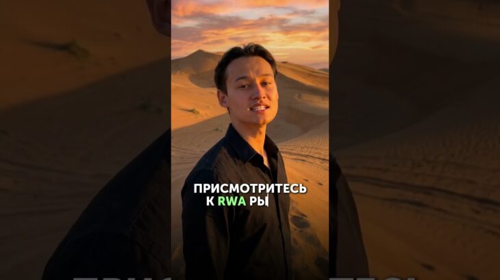 🧩NFT-папахи или RWA-недвижимость?