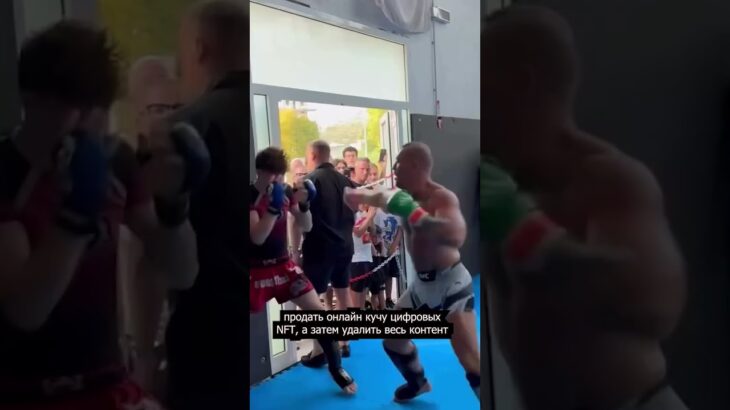 Конор Макгрегор обвинил Хабиба в обмане за NFT папахи в Telegram #ufc #conormcgregor #конор #хабиб