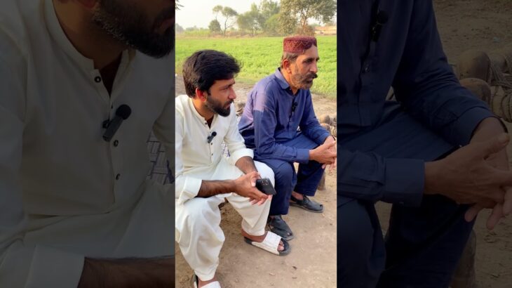 NFT fyr aa gai a 🤣🤣 #funny #comedyfilms #viral #trending #fun #comedyforever