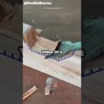 NFT of a Screaming Goat😱 #reddit #shorts