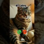 NFt calling #ringtone #cat #trending #cutecat #youtubeshorts #viralshort #calling #kitten