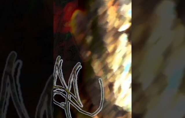 Reef NFT – A to Z (2007) 🎶🧘🏽👽✨🛸 #underground #hiphop #brasil #indie #reefnft