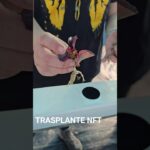 TRASPLANTE NFT