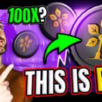 The Red NFT — Bridging Nature and Blockchain 🌳