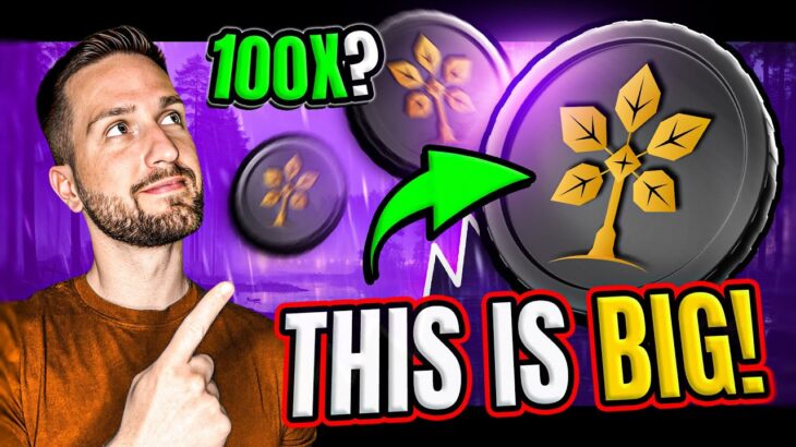 The Red NFT — Bridging Nature and Blockchain 🌳