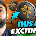 The Red NFT — Real Trees, Real Impact, Real Blockchain 🌍